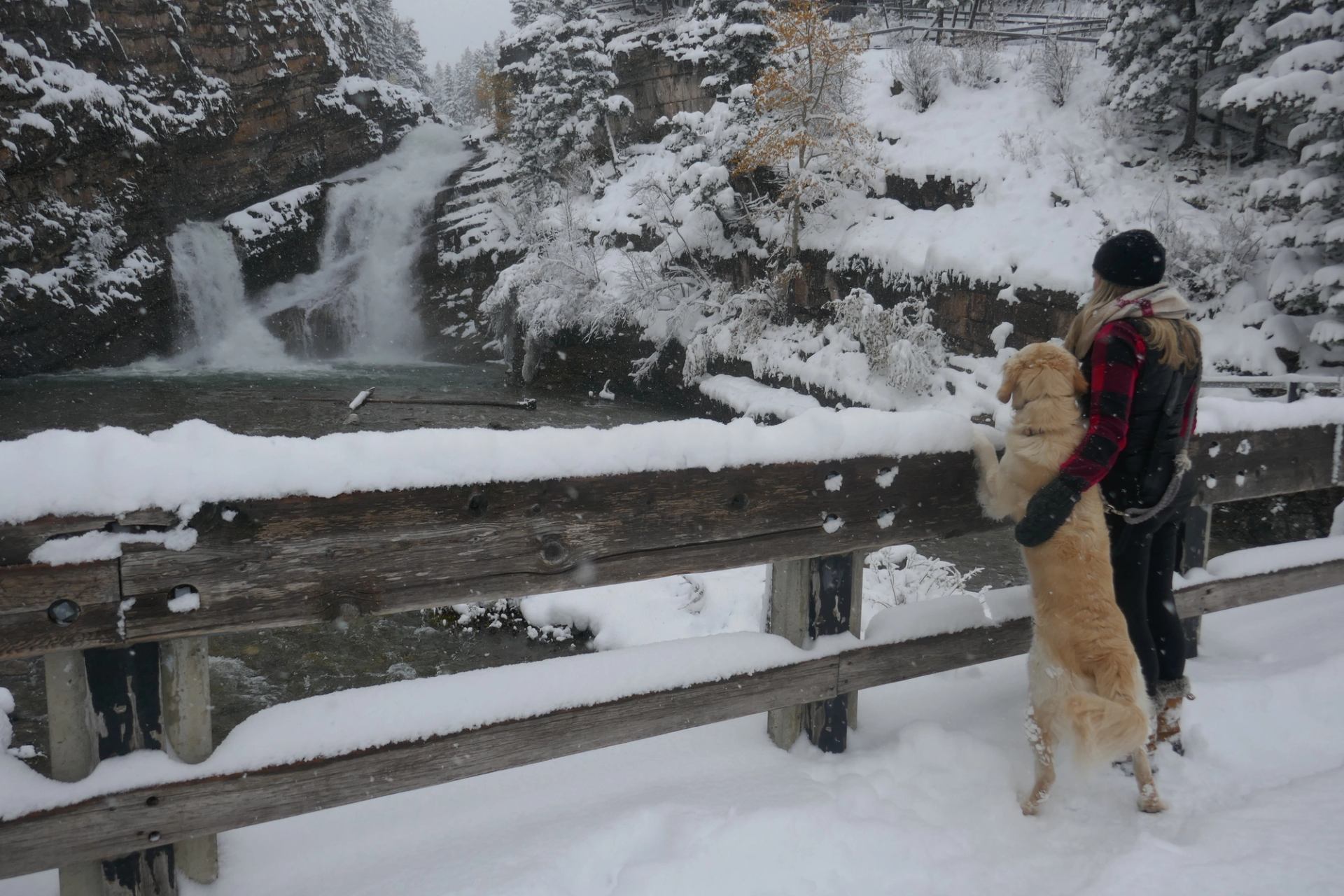 A woman and her dog looking at Cameron Falls in Waterton Lakes.