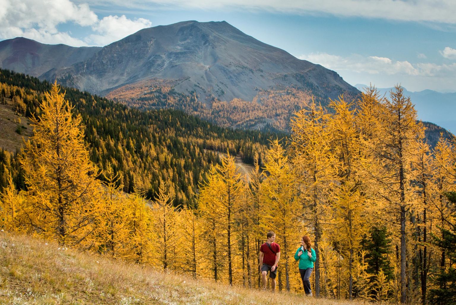The Ultimate Guide to Experiencing Larch Season in Alberta This Fall ...