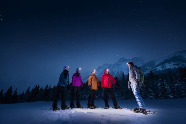 Four friends and a guide in snowshoes looking up at the night sky featuring the forest, mountains and stars.