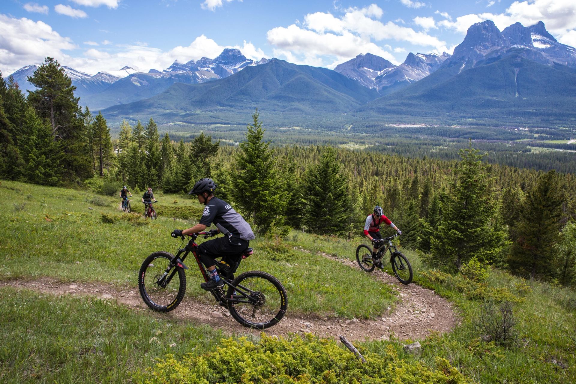 A mountain biking through an alpine meadow