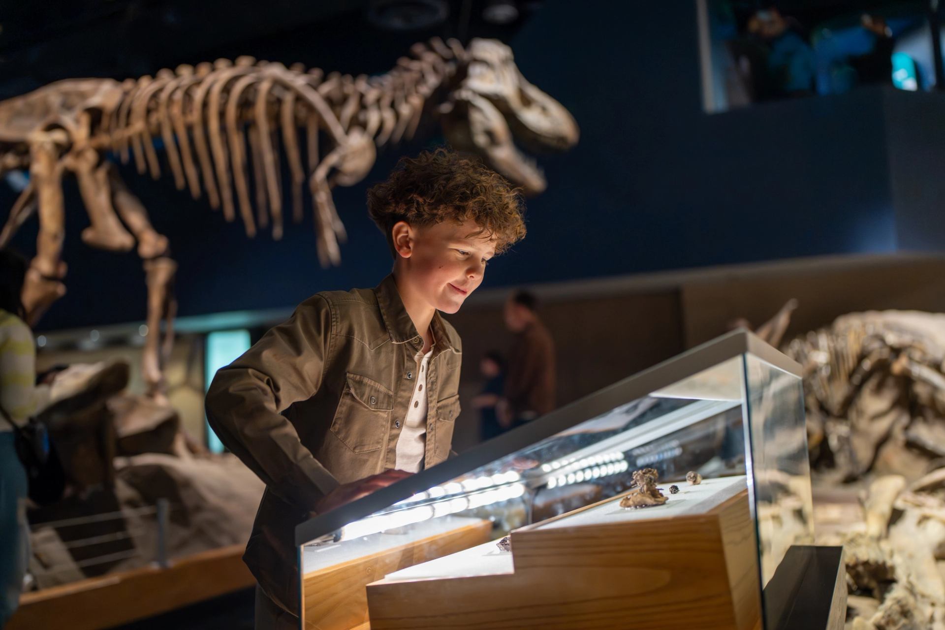 A boy looks at dinosaur bones in a display at Royal Tyrrell Museum.
