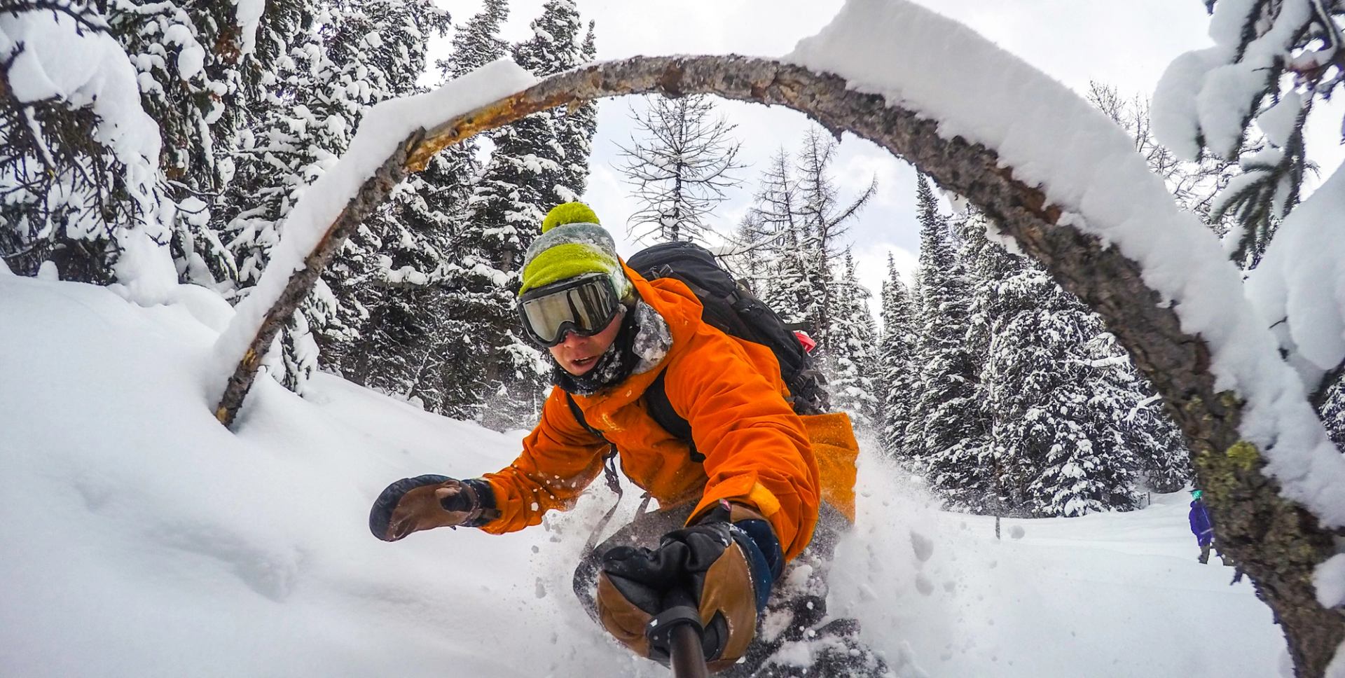 Close-up of a snowboarder ducking under a natural tree bridge in the powder snow.