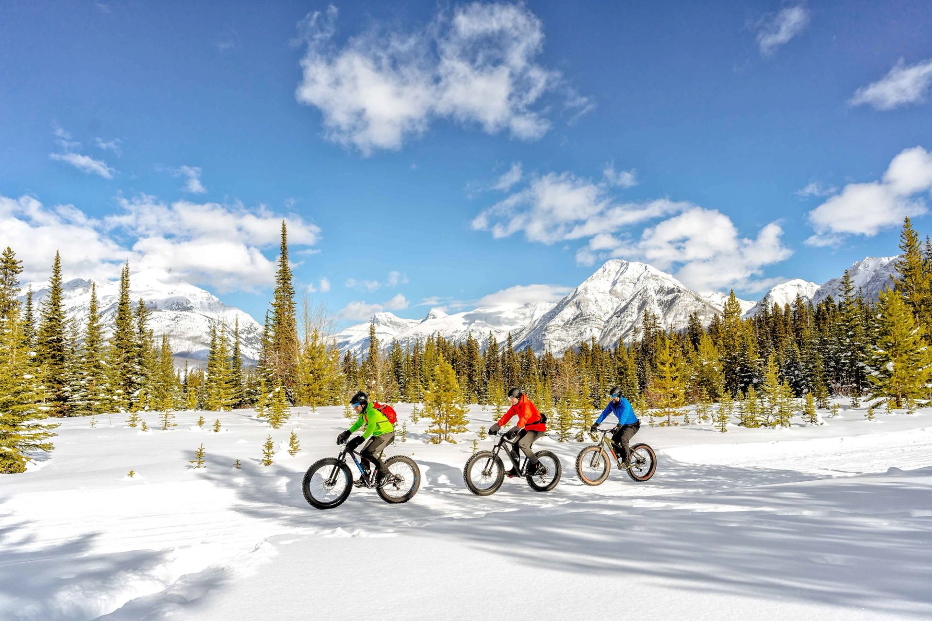 People fat-biking over snowy trail on a sunny day with mountains and trees in the background.