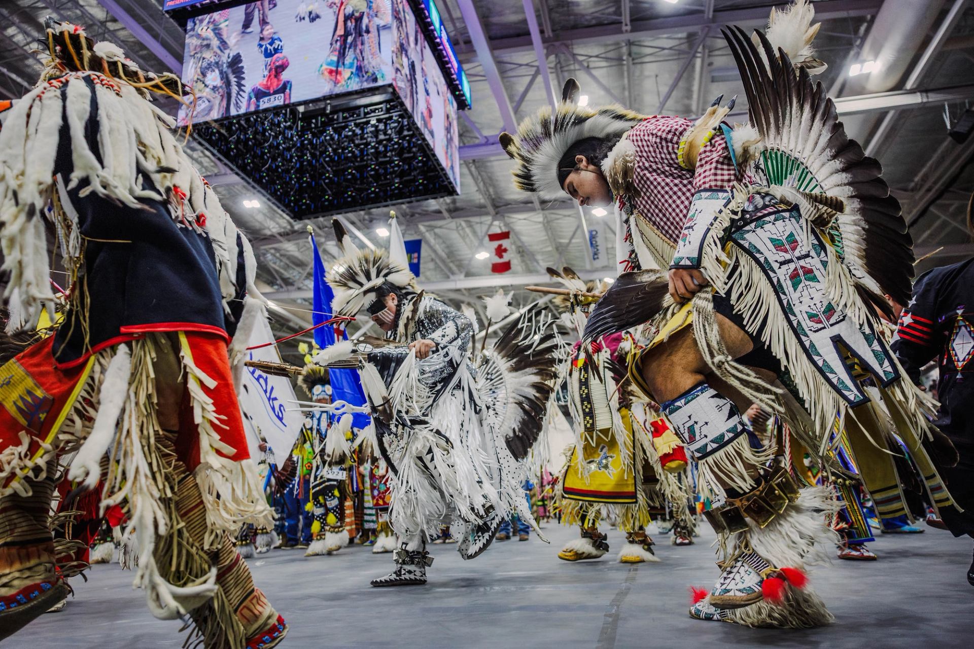 Several men dance at a powwow, wearing regalia featuring ornate beadwork, feathers and more.