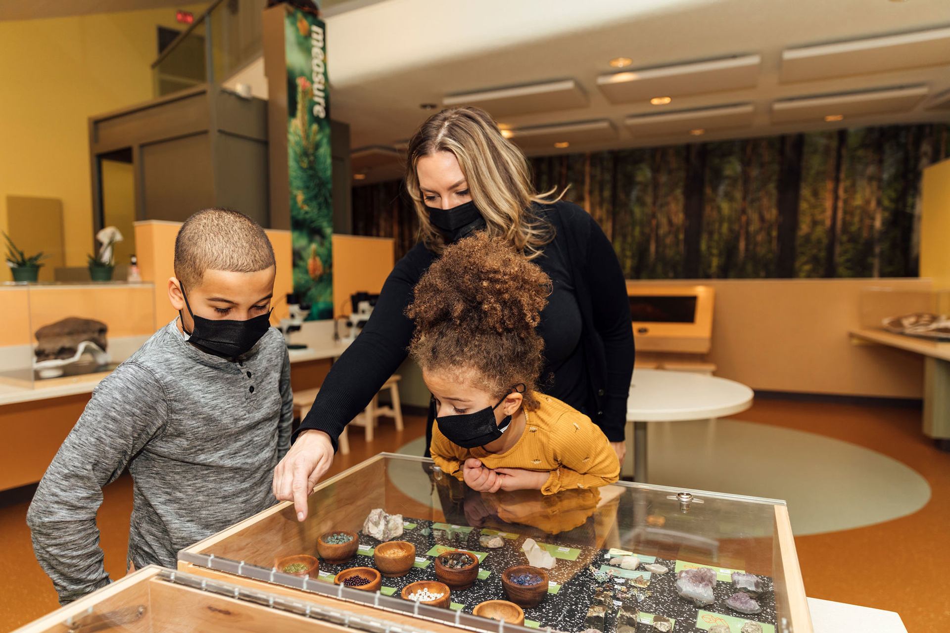 A family checks out an exhibit of geodes and crystals in the Nature Centre.