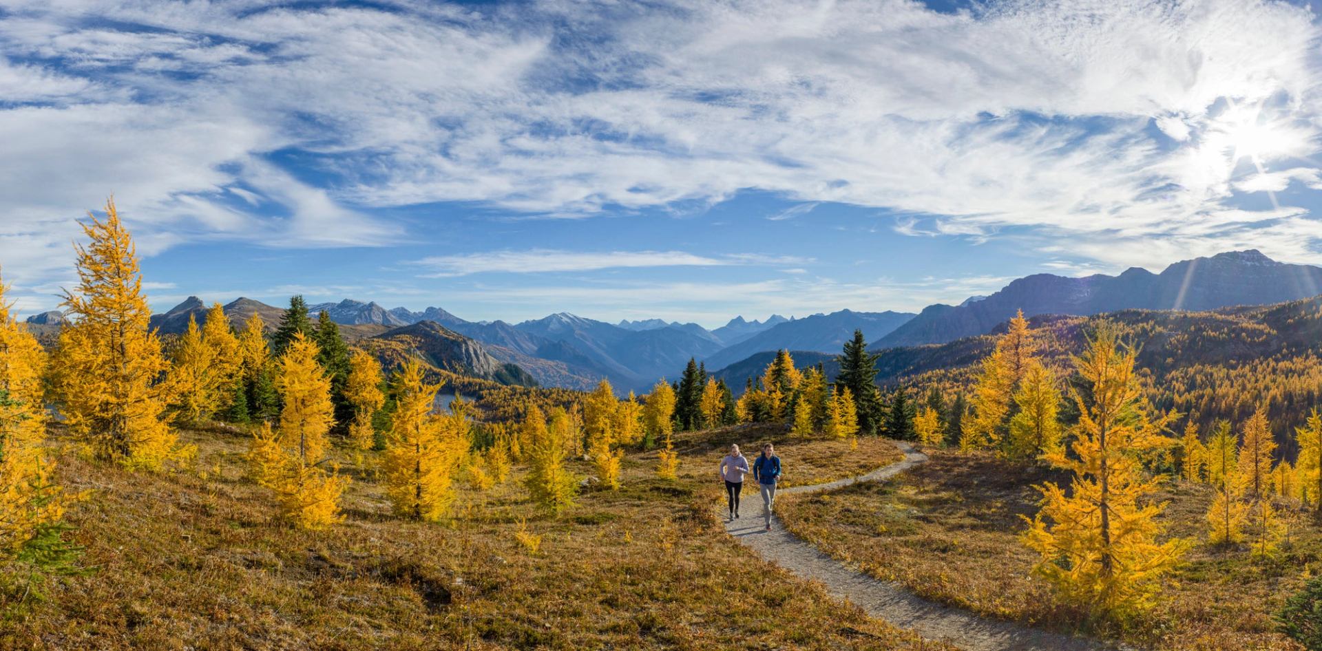 Two hikers in Sunshine Meadows during larch season.