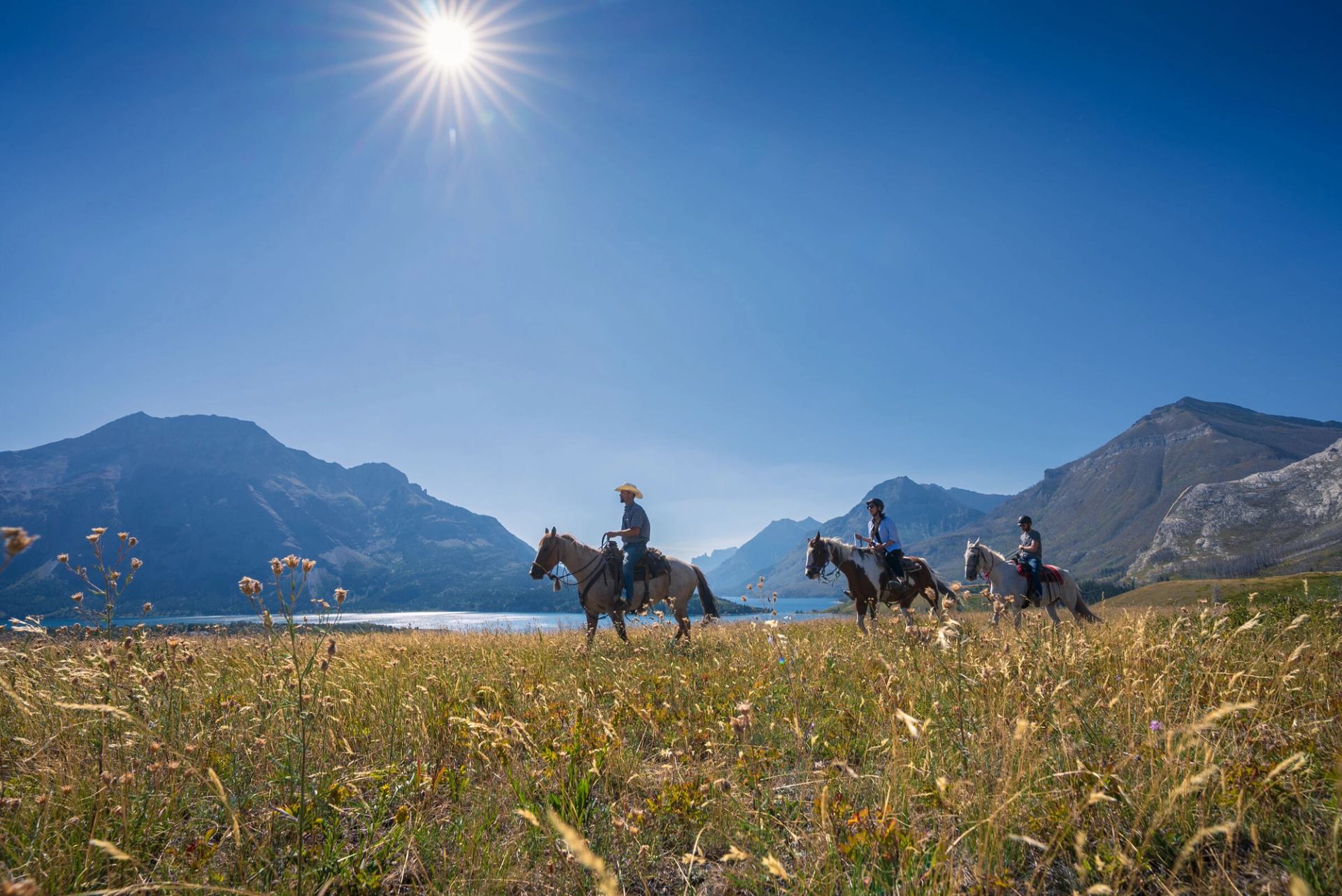 Horseback Riding near Waterton.