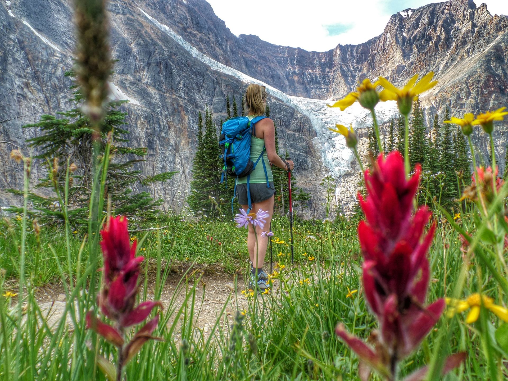 Female hiker stands in the middle of the Cavell Meadows trail in Jasper National Park looking at the wildflowers.