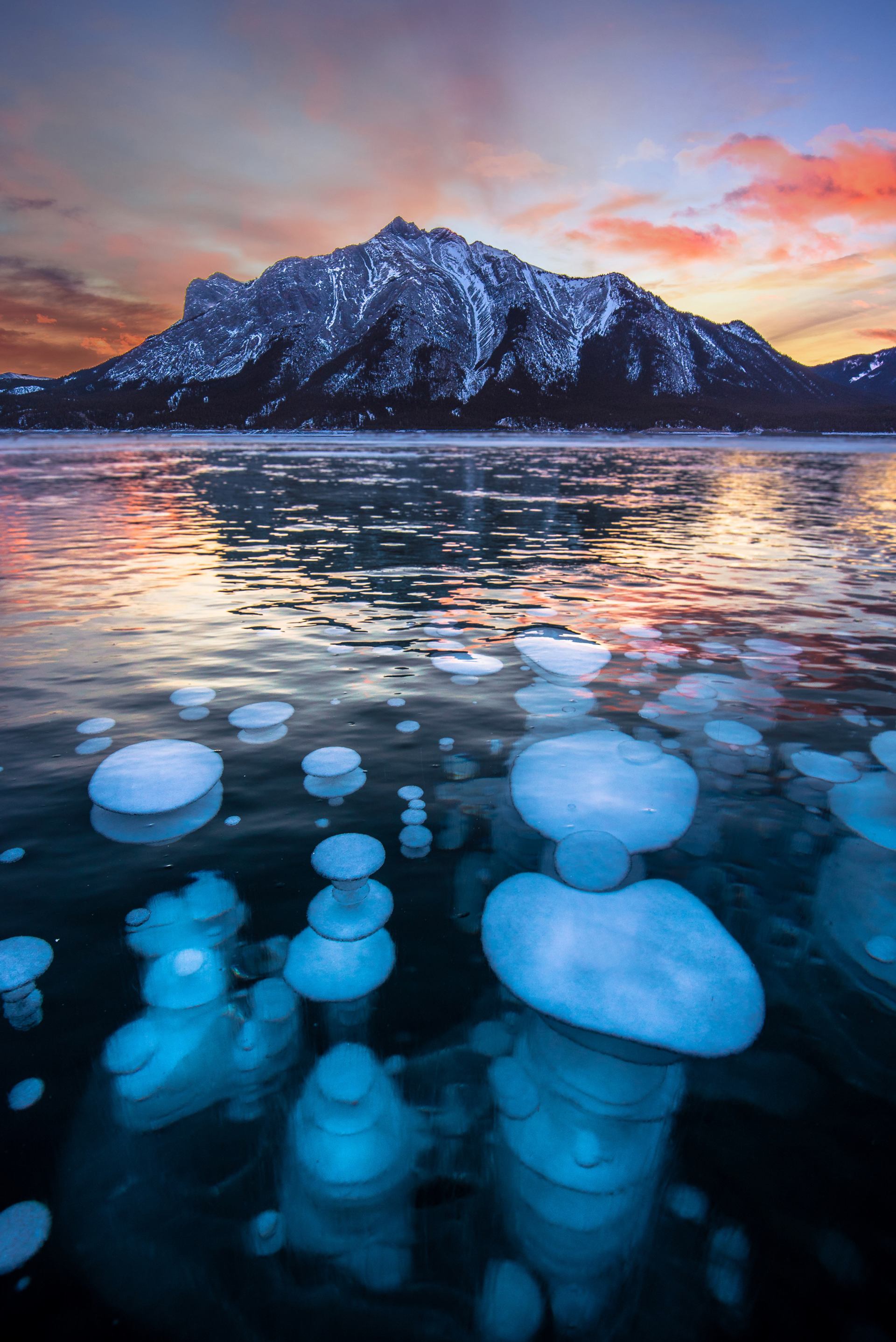 Methane bubbles under the ice at Abraham Lake during sunset.