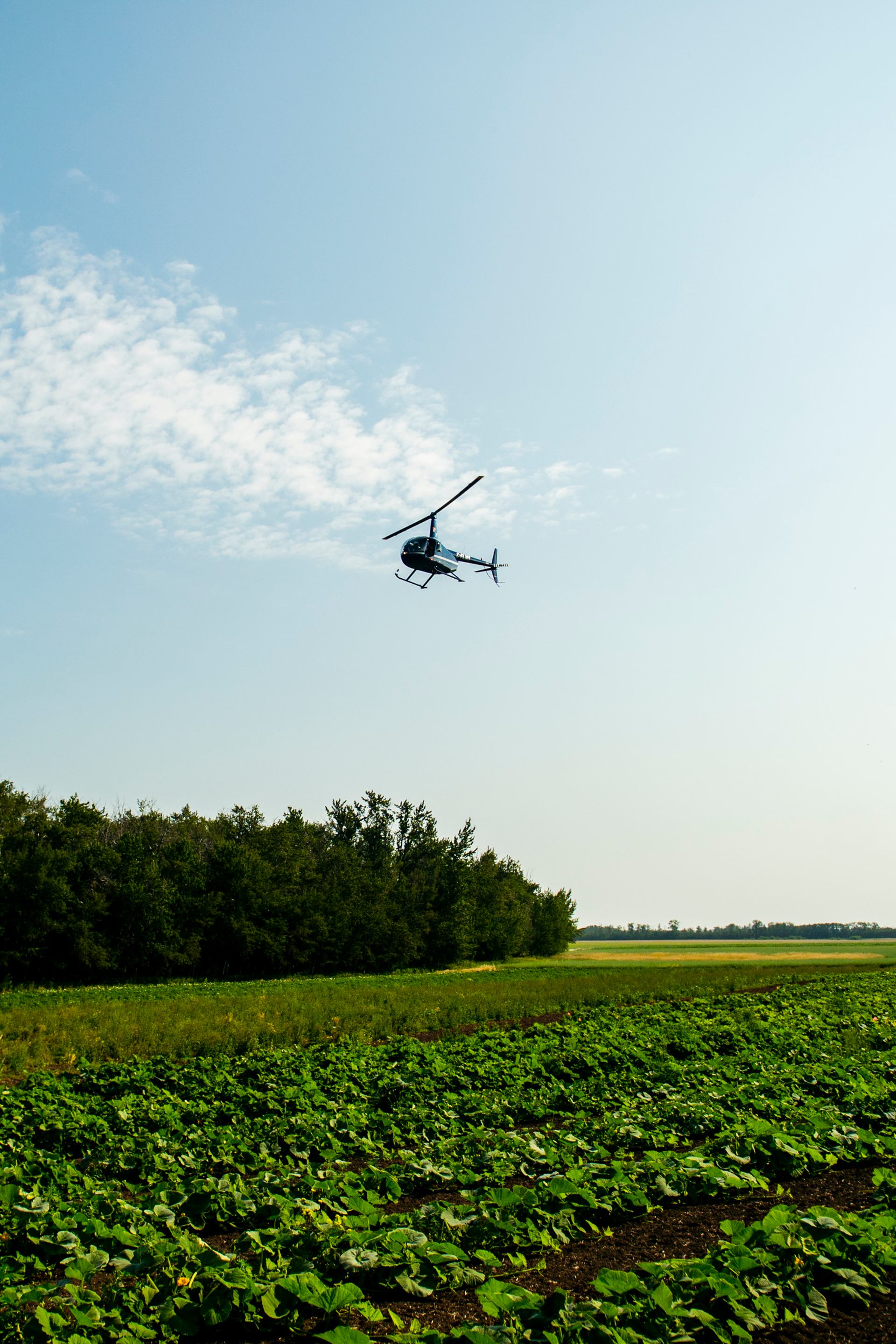 Helicopter hovering over a field