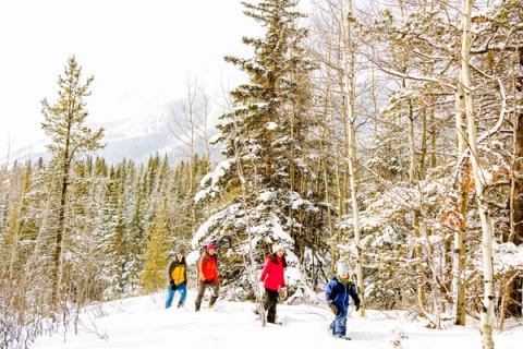 A family of four snowshoeing through a snow covered forest.