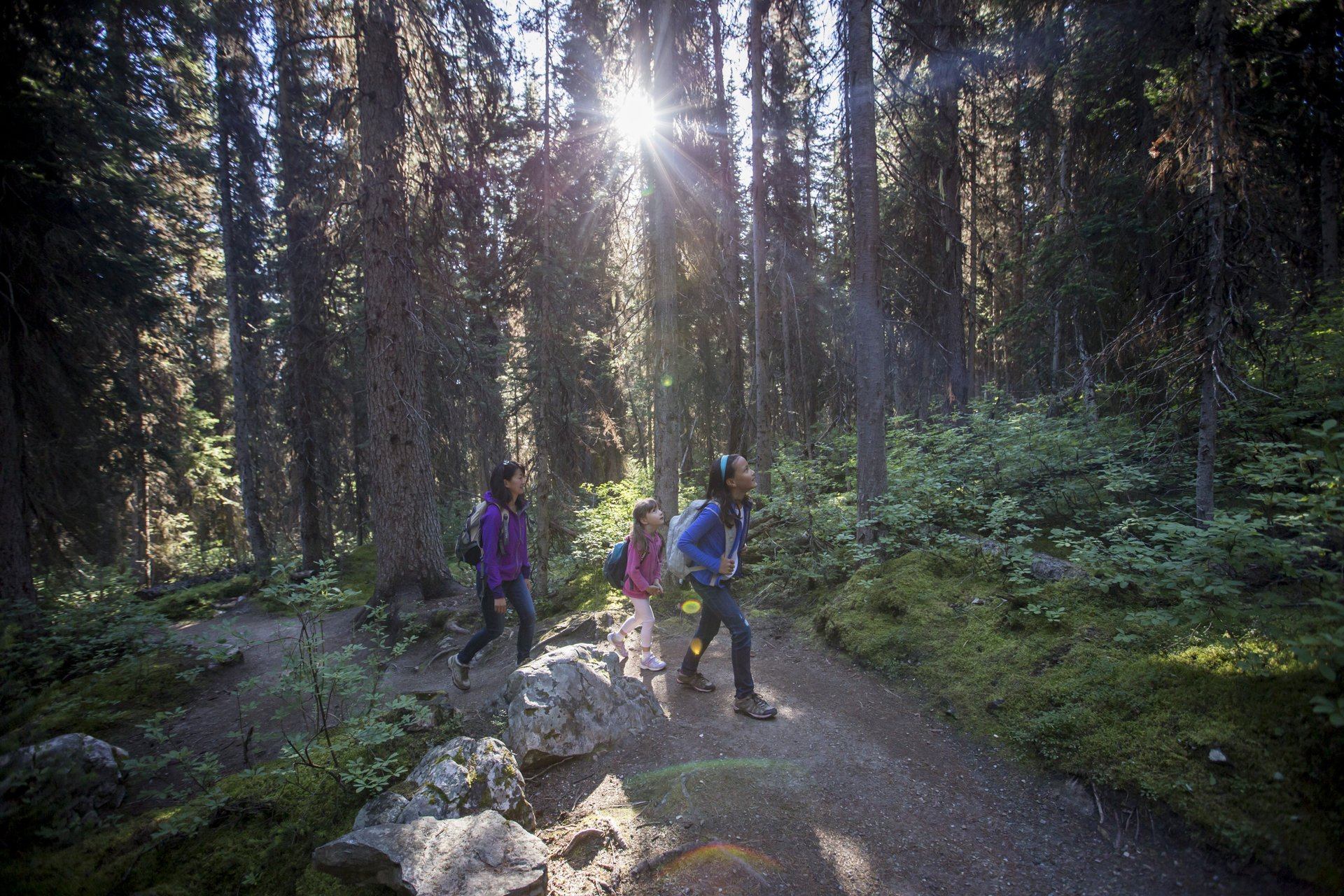 family exploring Johnston Canyon in Banff National Park