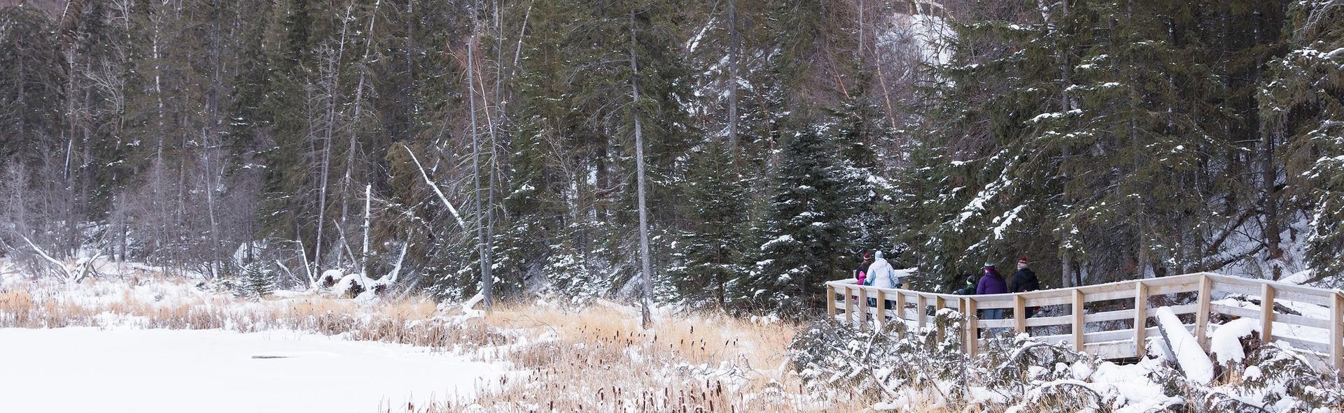 Group of people walking on a snow-covered bridge in a park at Kerry Wood Nature Centre in Red Deer