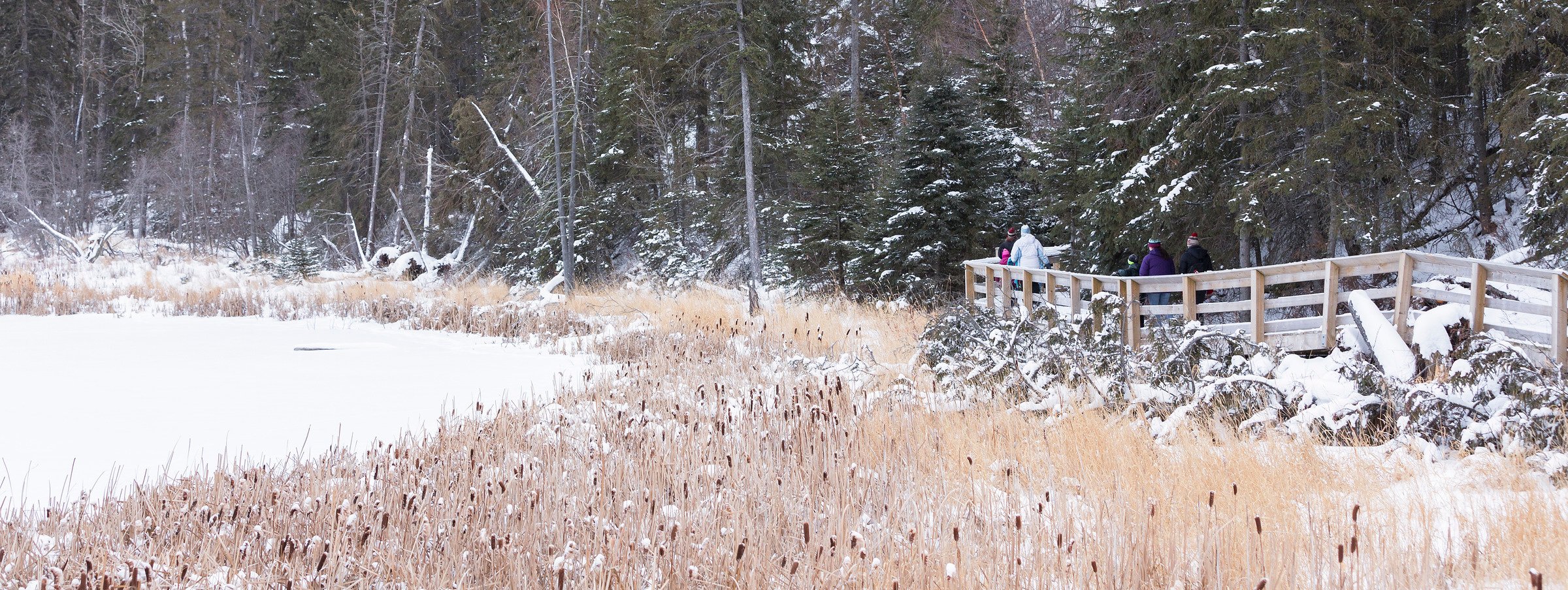 A group hiking on a snowy trail.