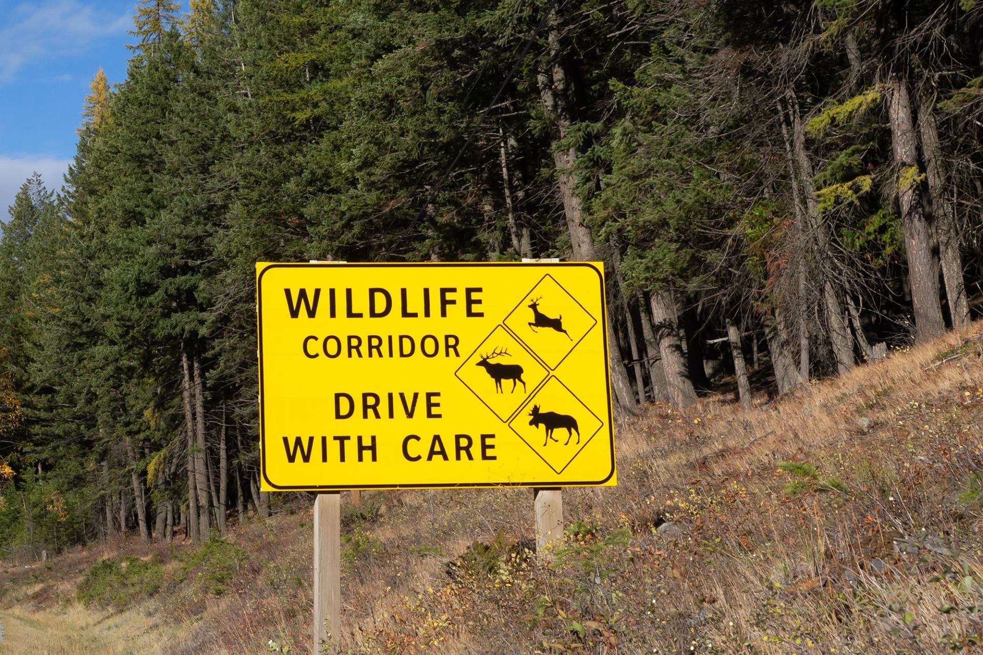 A yellow sign warning drivers to drive with care through a wildlife corridor.