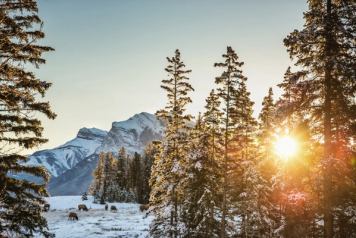 Banff National Park