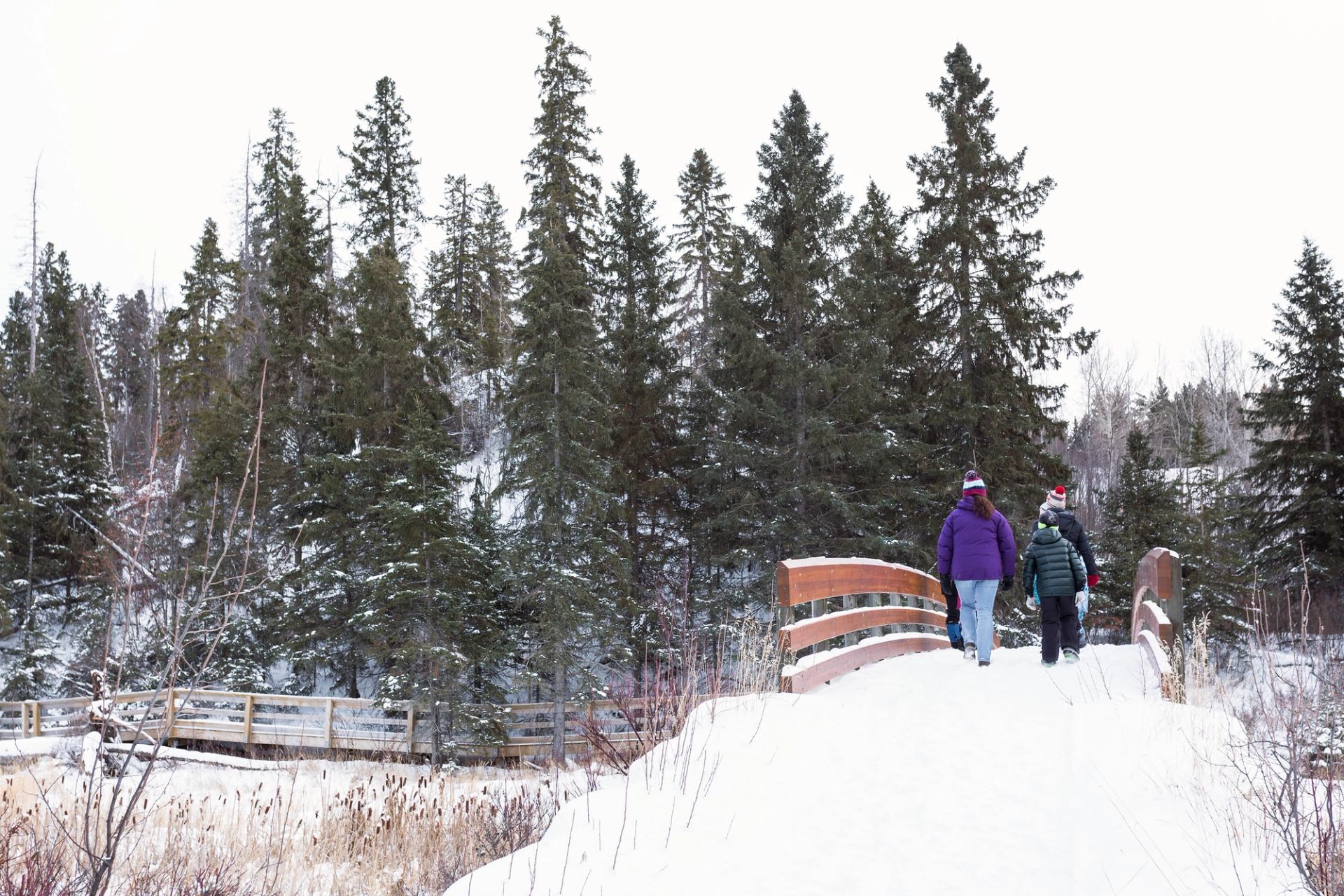 A couple cross a bridge in winter, while exploring Kerry Wood Nature Centre trail in Red Deer.