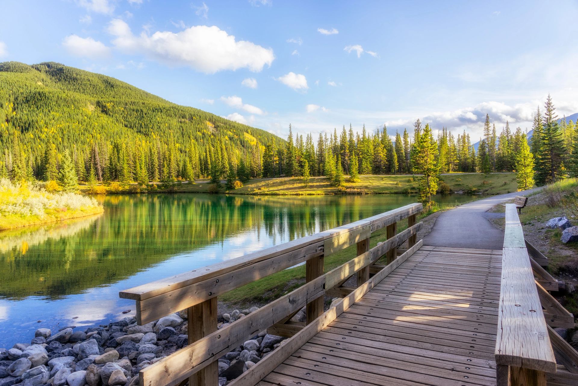 A bridge leading onto a paved pathway overlooking Forgetmenot Pond.