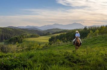 A rider on horseback on a green hill with distant Rocky Mountains.