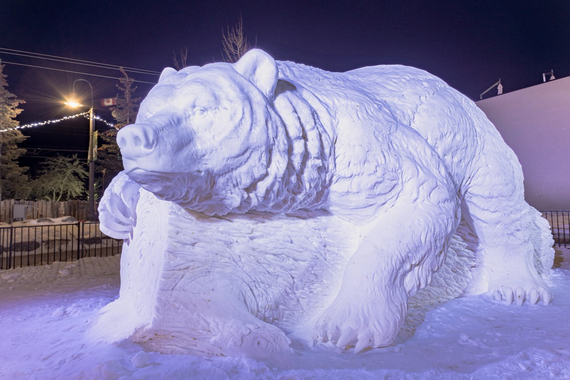 A massive bear sculpture carved out of snow on a Banff street at night.