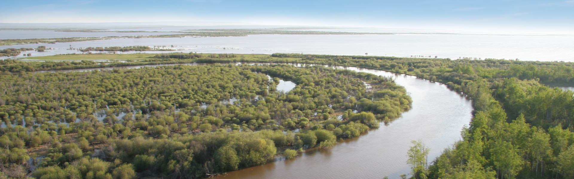 A river winds through Hay-Zama Lakes Wildland Provincial Park
