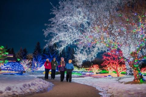 A family enjoy the lights at Nikka Yuko Japanese Gardens in Lethbridge.