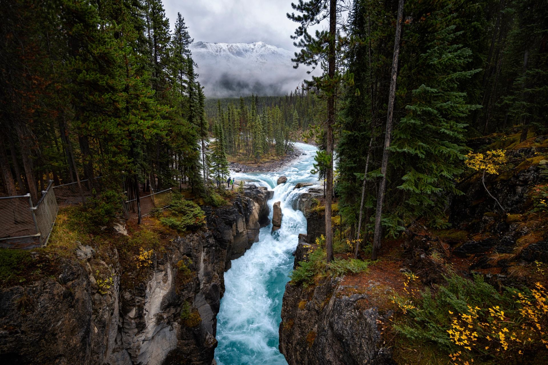 Observing Sunwapta falls and landscape from the viewing area