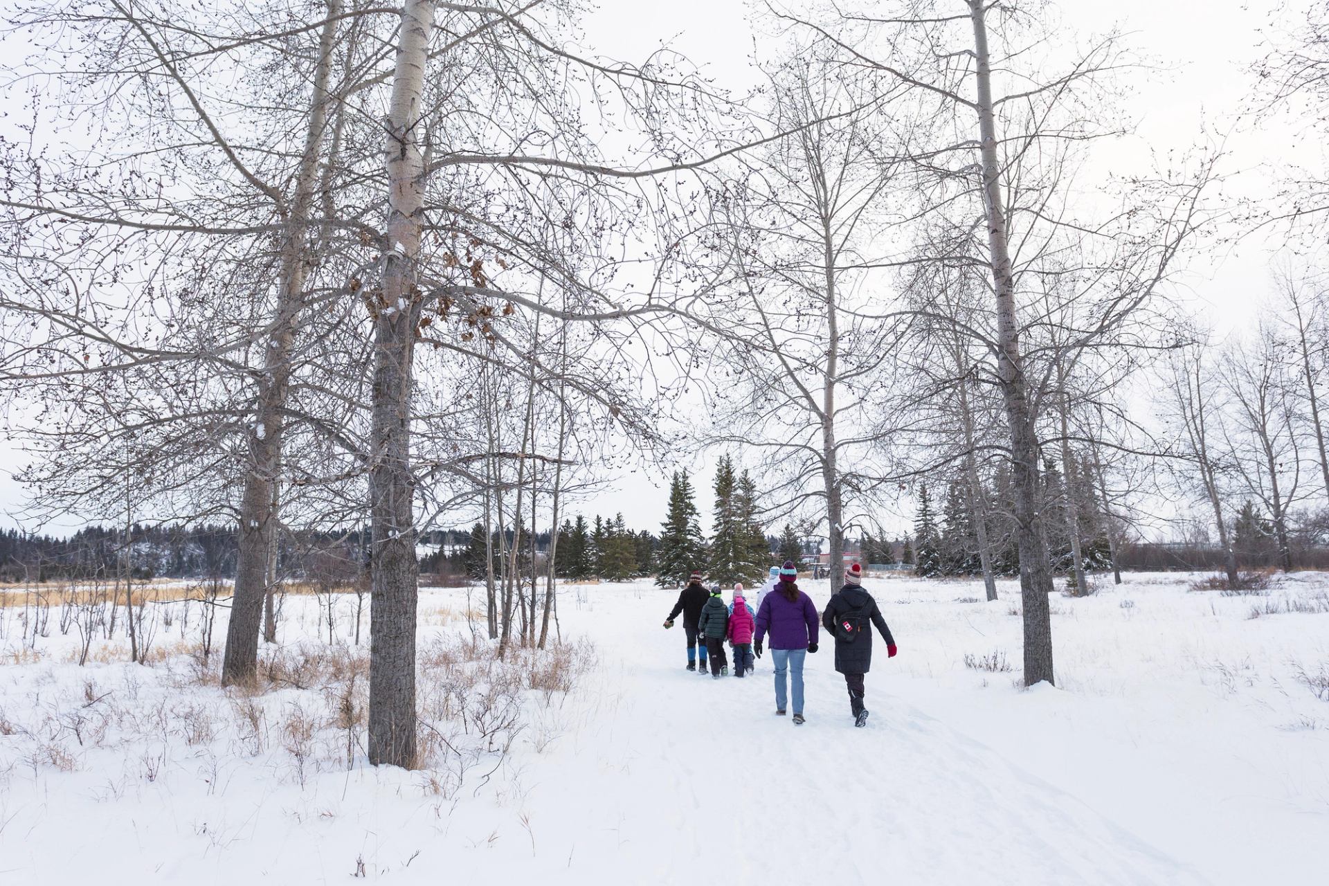 Group of family and friends walking in the snow in a park at Kerry Wood Nature Centre in Red Deer.