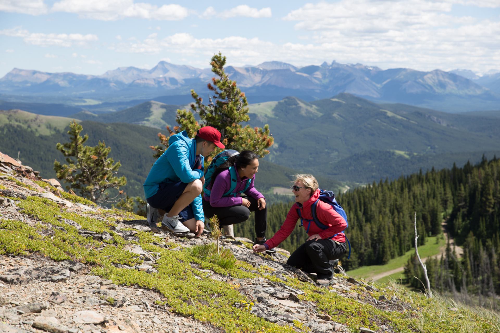 People on a guided hike in Castle Provincial Park with Heather Davis from Uplift Adventures.