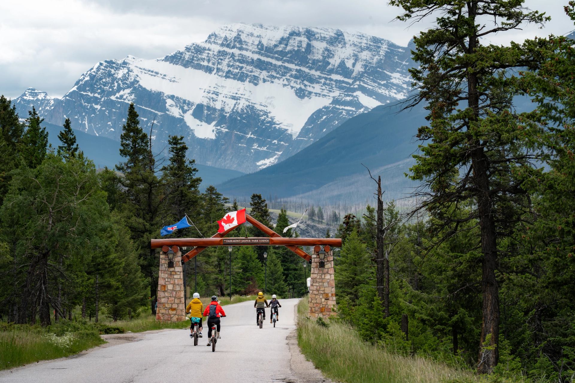 A cycling tour group bikes toward a mountain in Jasper National Park.
