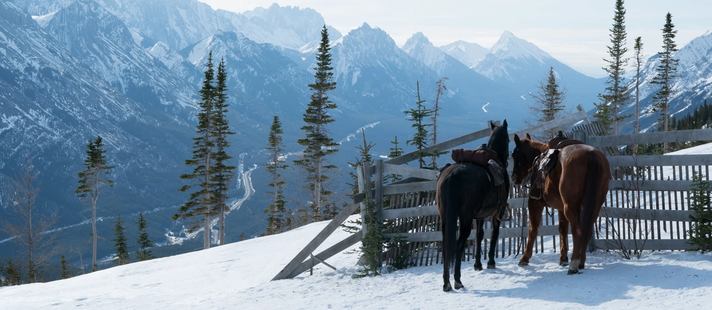 Two horses stand beside a wooden fence on a bright winter day in Alberta's Canadian Rockies on the set of HBO's The Last of Us.