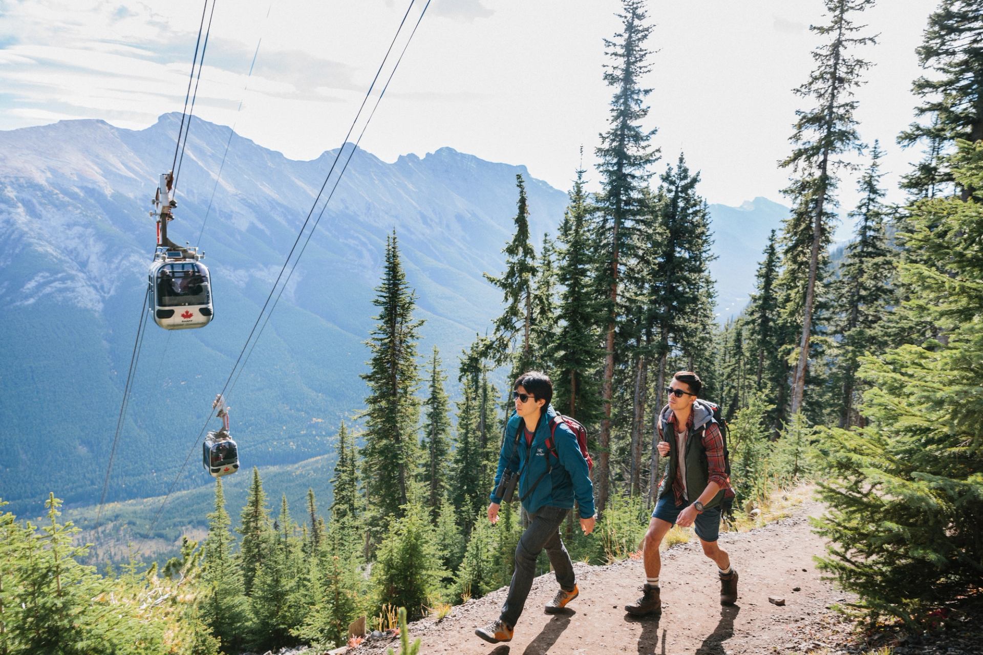 Hikers walk a path up Sulphur Mountain with the gondola in the background among confers and the Rocky Mountains.