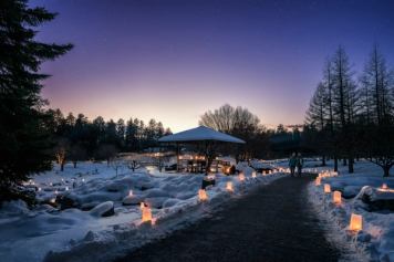 People walking along lit up pathways with snow, a pavilion and trees