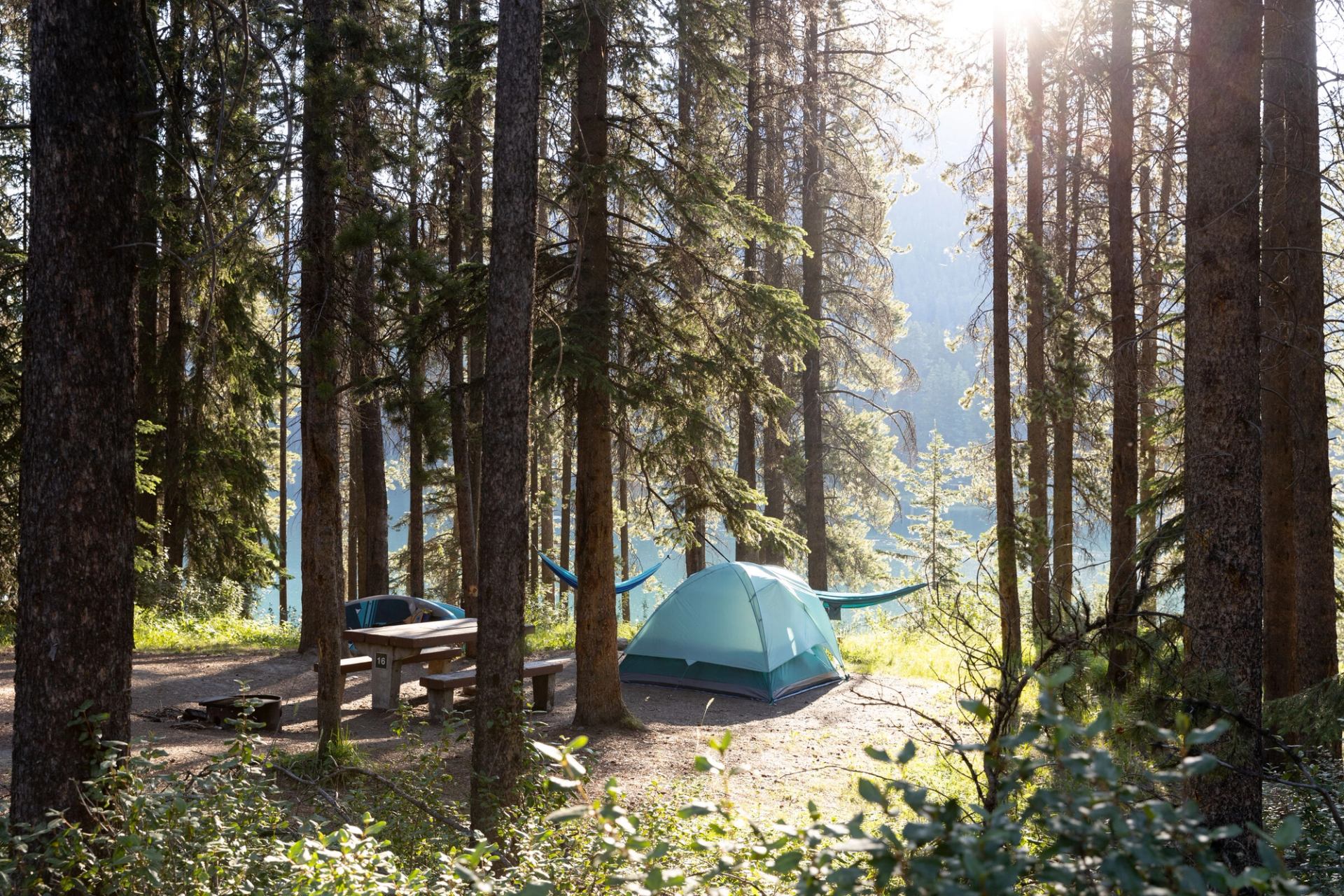 Campsite by lake with tent and hammok at Two Jack Lakeside Campground in Banff National Park.