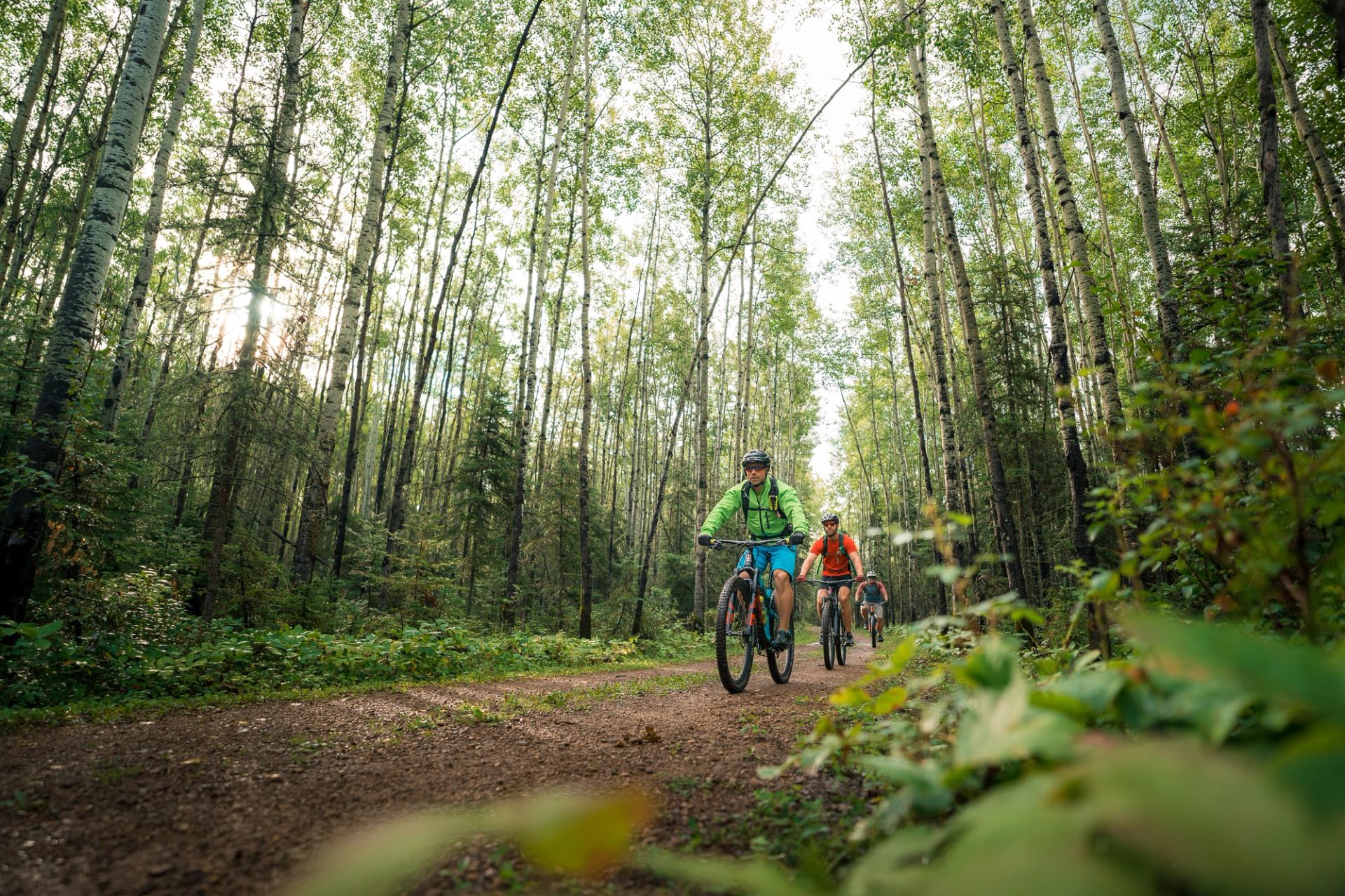 Mountain biking on the Birchwood Trails system near Fort McMurray.