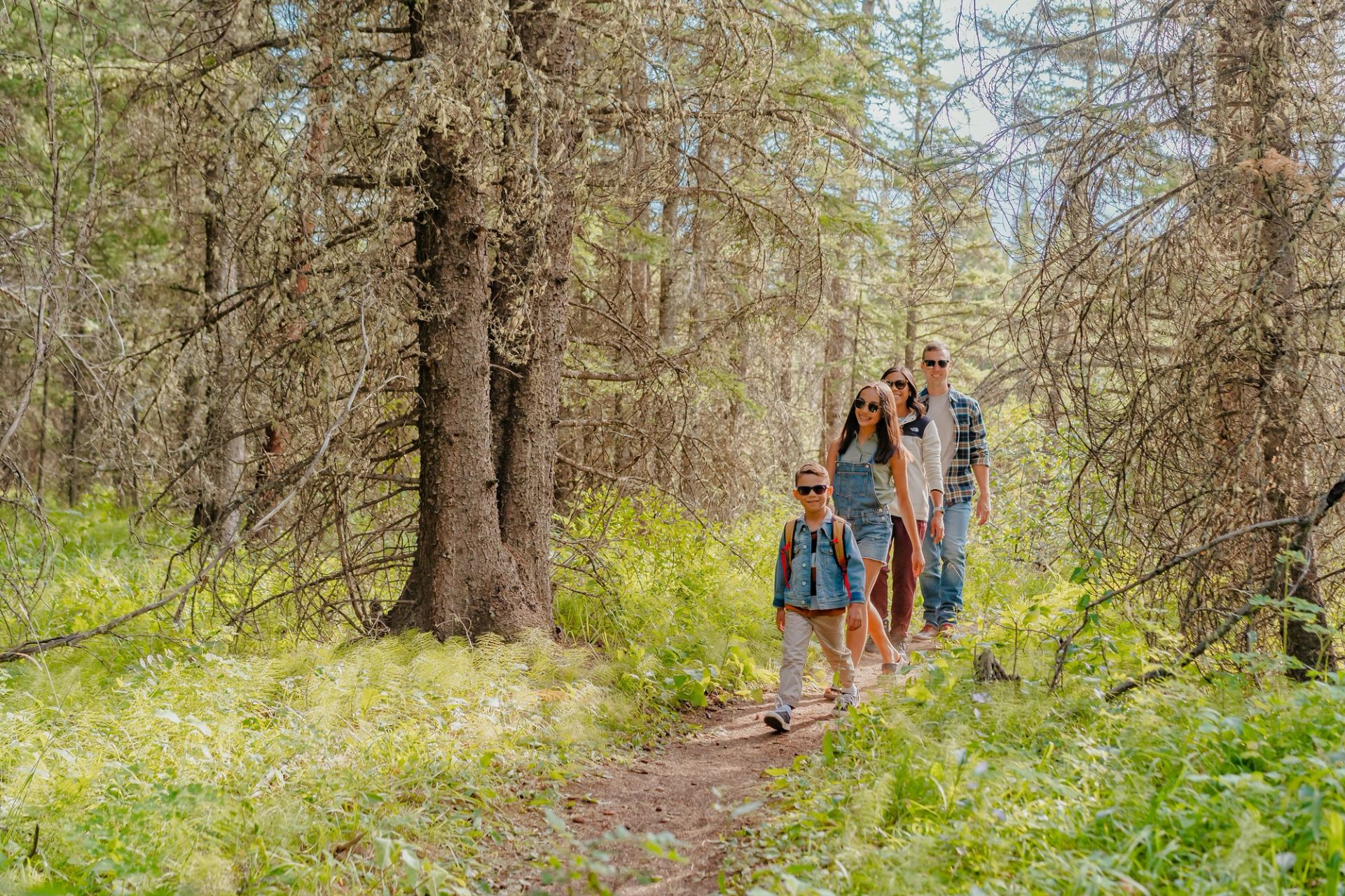 People hiking in the Rocky Mountains