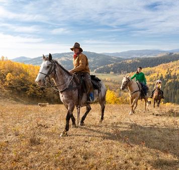 Three riders walking up the hill on horseback