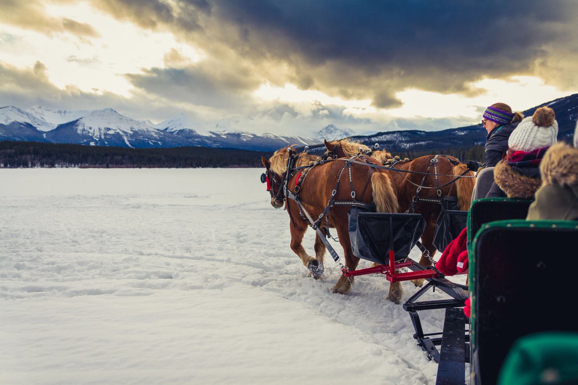 A group enjoys a horse-drawn sleigh ride in the mountains at Pyramid Lake in Jasper National Park.