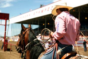 A man on a horse in the rodeo ring at the Ponoka Stampede