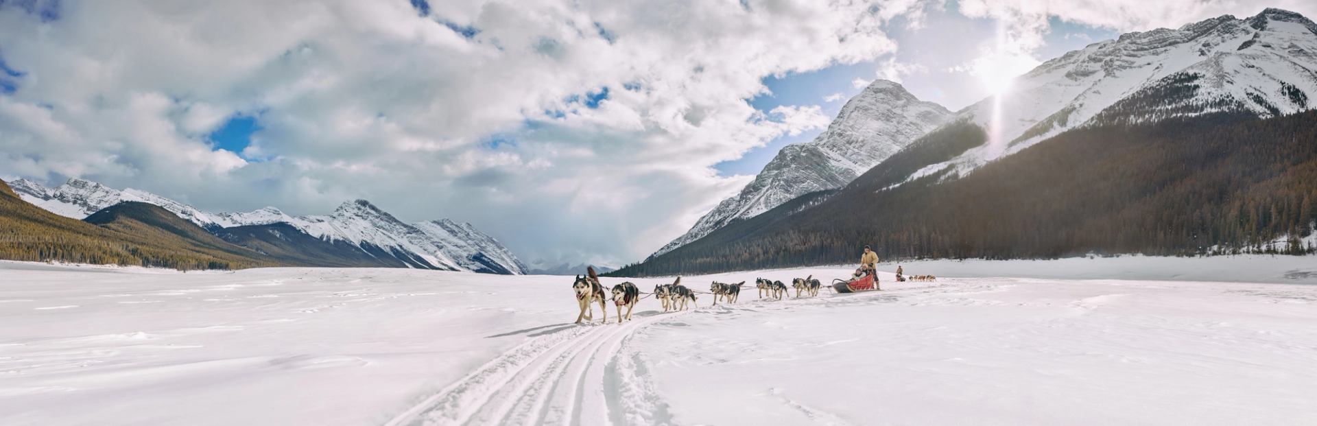 Group of people dog sledding atop a snowy landscape in Spray Lakes, Kananaskis with the sun peaking behind the Canadian Rockies.