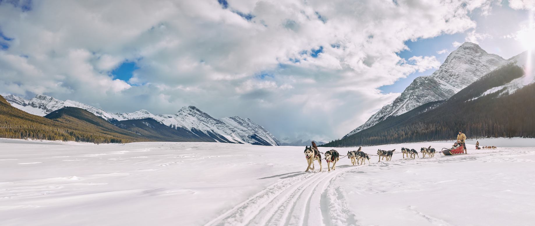 Group of people dog sledding atop a snowy landscape in Spray Lakes, Kananaskis with the sun peaking behind the Canadian Rockies.
