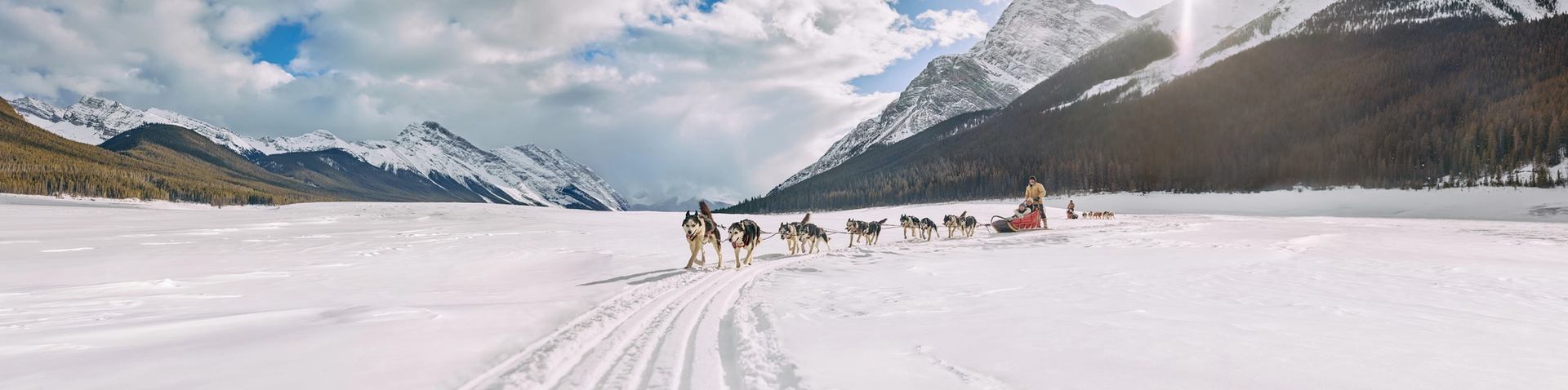 Group of people dog sledding atop a snowy landscape in Spray Lakes, Kananaskis with the sun peaking behind the Canadian Rockies.