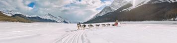 Group of people dog sledding atop a snowy landscape in Spray Lakes, Kananaskis with the sun peaking behind the Canadian Rockies.