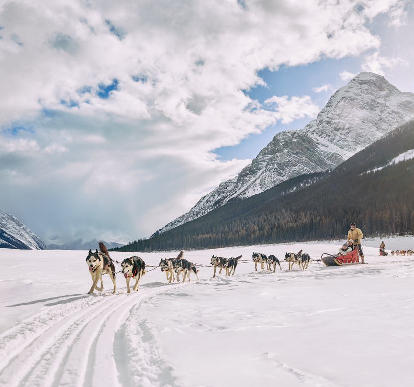 Dog sled pulling a person on a frozen lake