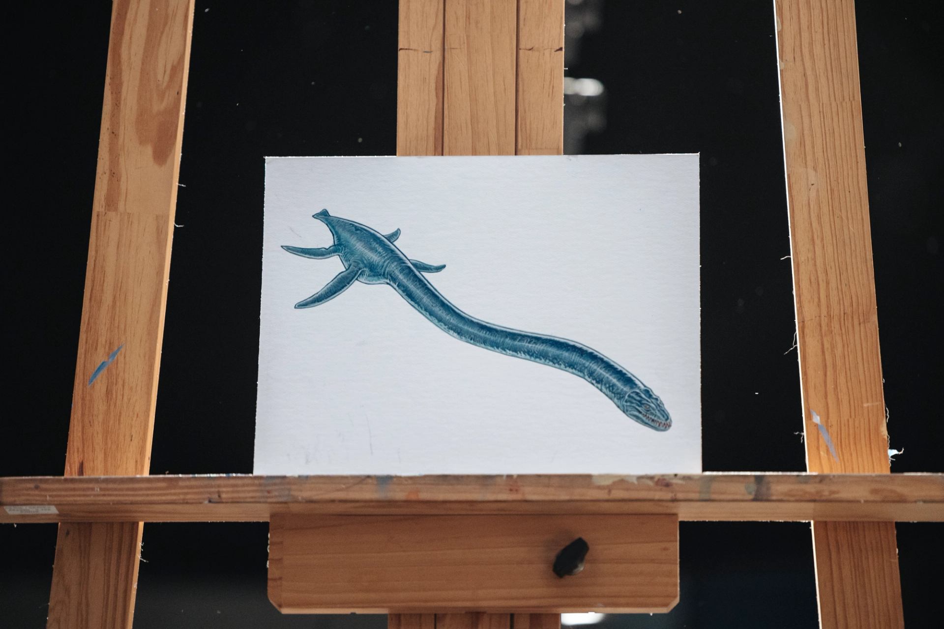 A painting of an Albertonectes sits on a wooden easel.