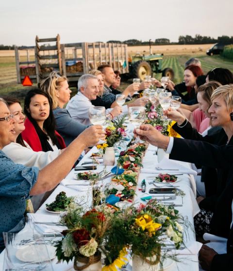 Large group clinking glasses at an outdoor dinner table on a farm.