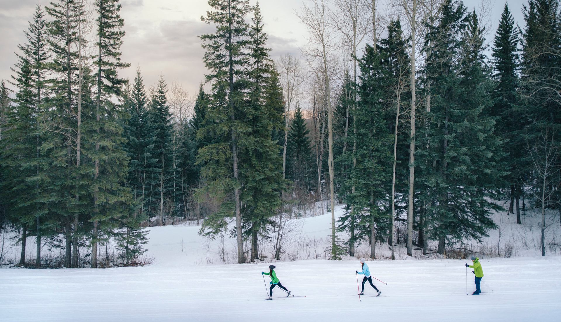 Cross-country skiers on a trail in front of the forest at the Wapiti Nordic Centre in Grande Prairie
