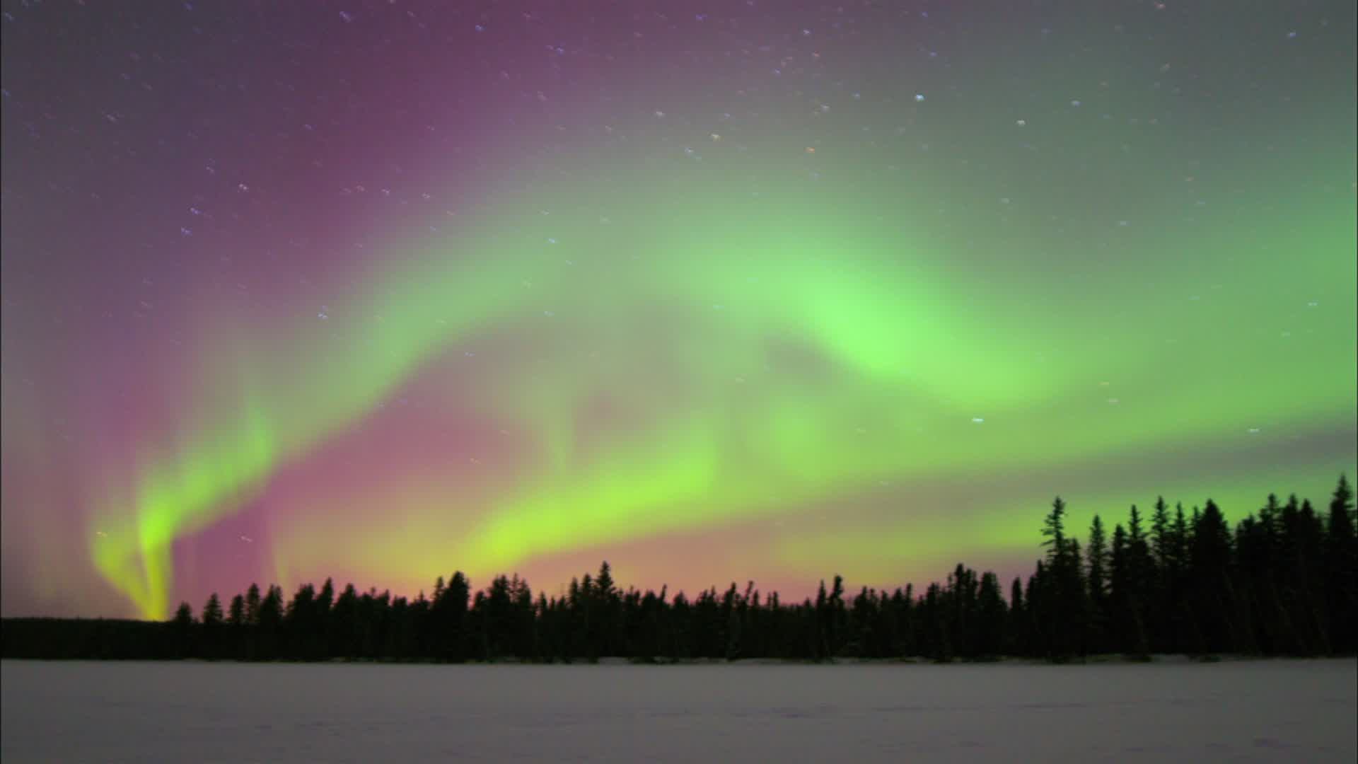 Purple and green northern lights shine in the sky.