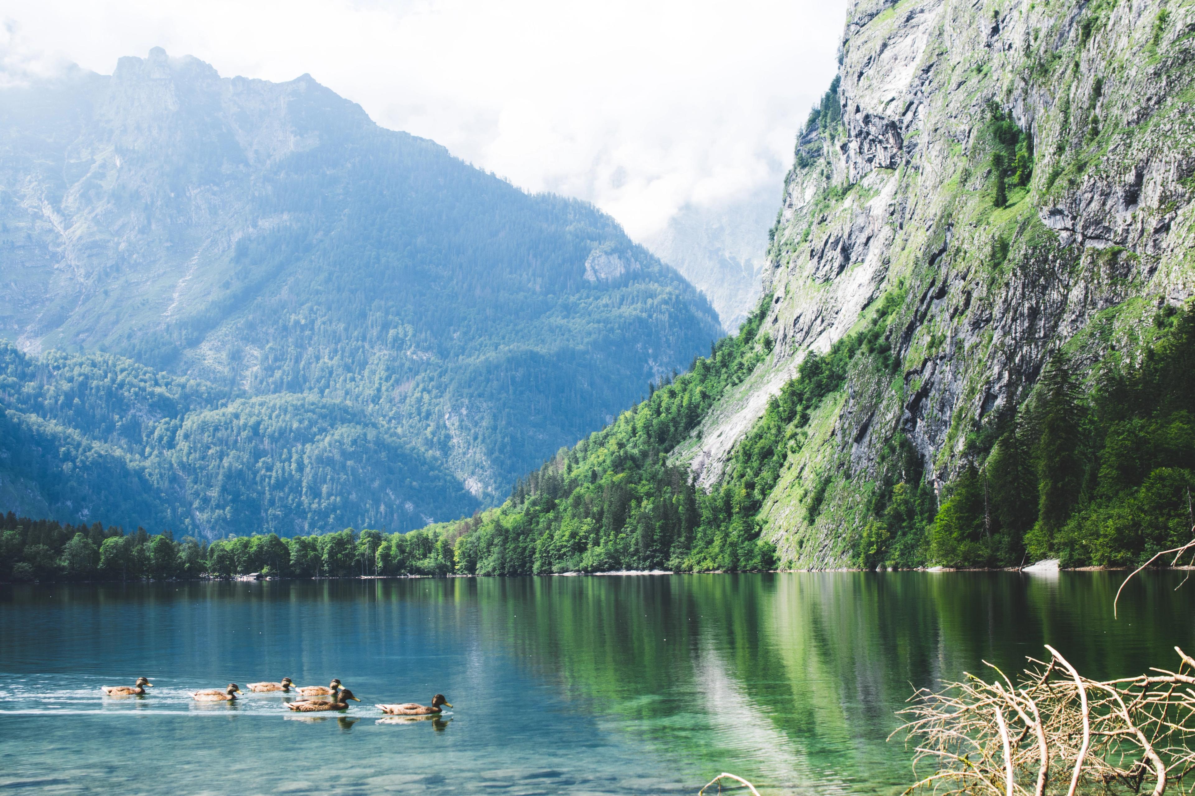 Königsee
