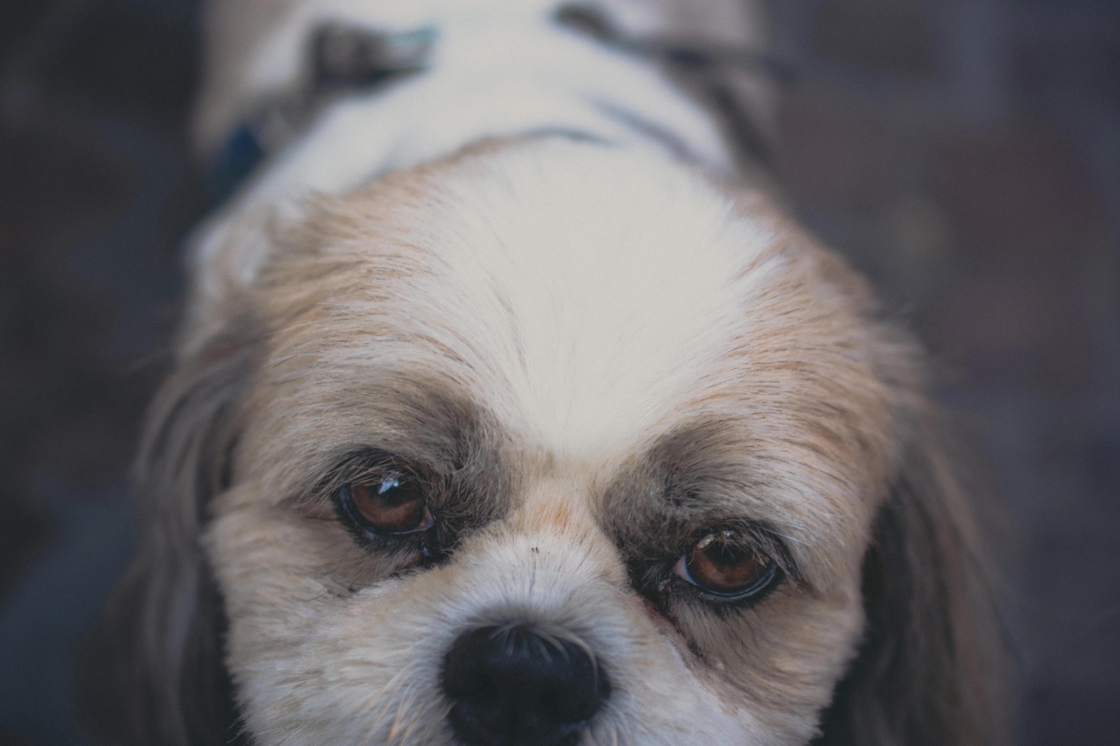 Longing for Snacks​​​​‌﻿‍﻿​‍​‍‌‍﻿﻿‌﻿​‍‌‍‍‌‌‍‌﻿‌‍‍‌‌‍﻿‍​‍​‍​﻿‍‍​‍​‍‌﻿​﻿‌‍​‌‌‍﻿‍‌‍‍‌‌﻿‌​‌﻿‍‌​‍﻿‍‌‍‍‌‌‍﻿﻿​‍​‍​‍﻿​​‍​‍‌‍‍​‌﻿​‍‌‍‌‌‌‍‌‍​‍​‍​﻿‍‍​‍​‍‌‍‍​‌﻿‌​‌﻿‌​‌﻿​​​﻿‍‍​‍﻿﻿​‍﻿﻿‌‍﻿​‌‍﻿﻿‌‍​﻿‌‍​‌‌‍﻿​‌‍‍​‌‍﻿﻿‌﻿​﻿‌﻿‌​​﻿‍‍​﻿​﻿​﻿​﻿​﻿​﻿​﻿​﻿​‍﻿﻿‌‍‍‌‌‍﻿‍‌﻿‌​‌‍‌‌‌‍﻿‍‌﻿‌​​‍﻿﻿‌‍‌‌‌‍‌​‌‍‍‌‌﻿‌​​‍﻿﻿‌‍﻿‌‌‍﻿﻿‌‍‌​‌‍‌‌​﻿﻿‌‌﻿​​‌﻿​‍‌‍‌‌‌﻿​﻿‌‍‌‌‌‍﻿‍‌﻿‌​‌‍​‌‌﻿‌​‌‍‍‌‌‍﻿﻿‌‍﻿‍​﻿‍﻿‌‍‍‌‌‍‌​​﻿﻿‌‌‍​﻿​﻿‌‌‌﻿‍​​﻿​‍‌​‌‌‌​﻿﻿‌‌​‍‌​﻿‍‌‍​﻿‌​‌‍‌‍﻿﻿‌﻿‌‌‌‍﻿‌‌‍‍‍​﻿‌﻿‌﻿‌​‌‍‍‍‌‌​‌‌​‍﻿​﻿‌​‌​​‌‌​​‌​﻿‍﻿‌﻿‌​‌﻿‍‌‌﻿​​‌‍‌‌​﻿﻿‌‌﻿​​‌‍‍​‌‍﻿﻿‌﻿‌​‌‍﻿﻿​﻿‍﻿‌﻿​​‌‍​‌‌﻿‌​‌‍‍​​﻿﻿‌‌﻿‌​‌‍‍‌‌﻿‌​‌‍﻿​‌‍‌‌​﻿﻿﻿‌‍​‍‌‍​‌‌﻿​﻿‌‍‌‌‌‌‌‌‌﻿​‍‌‍﻿​​﻿﻿‌‌‍‍​‌﻿‌​‌﻿‌​‌﻿​​​‍‌‌​﻿​﻿‌​​‌​‍‌‌​﻿​‍‌​‌‍​‍‌‌​﻿​‍‌​‌‍‌‍﻿​‌‍﻿﻿‌‍​﻿‌‍​‌‌‍﻿​‌‍‍​‌‍﻿﻿‌﻿​﻿‌﻿‌​​‍‌‌​﻿​﻿‌​​‌​﻿​﻿​﻿​﻿​﻿​﻿​﻿​﻿​‍‌‍‌‍‍‌‌‍‌​​﻿﻿‌‌‍​﻿​﻿‌‌‌﻿‍​​﻿​‍‌​‌‌‌​﻿﻿‌‌​‍‌​﻿‍‌‍​﻿‌​‌‍‌‍﻿﻿‌﻿‌‌‌‍﻿‌‌‍‍‍​﻿‌﻿‌﻿‌​‌‍‍‍‌‌​‌‌​‍﻿​﻿‌​‌​​‌‌​​‌​‍‌‍‌﻿‌​‌﻿‍‌‌﻿​​‌‍‌‌​﻿﻿‌‌﻿​​‌‍‍​‌‍﻿﻿‌﻿‌​‌‍﻿﻿​‍‌‍‌﻿​​‌‍​‌‌﻿‌​‌‍‍​​﻿﻿‌‌﻿‌​‌‍‍‌‌﻿‌​‌‍﻿​‌‍‌‌​‍‌‍‌﻿​​‌‍‌‌‌﻿​‍‌﻿​﻿‌﻿​​‌‍‌‌‌‍​﻿‌﻿‌​‌‍‍‌‌﻿‌‍‌‍‌‌​﻿﻿‌‌﻿​​‌﻿‌‌‌‍​‍‌‍﻿​‌‍‍‌‌﻿​﻿‌‍‍​‌‍‌‌‌‍‌​​‍​‍‌﻿﻿‌